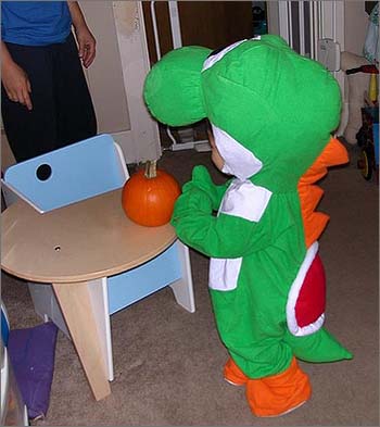 yoshi.jpg
