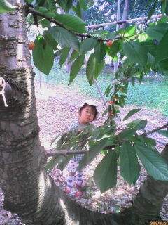 blooog 041.jpg