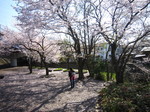 blooog2 090.jpg